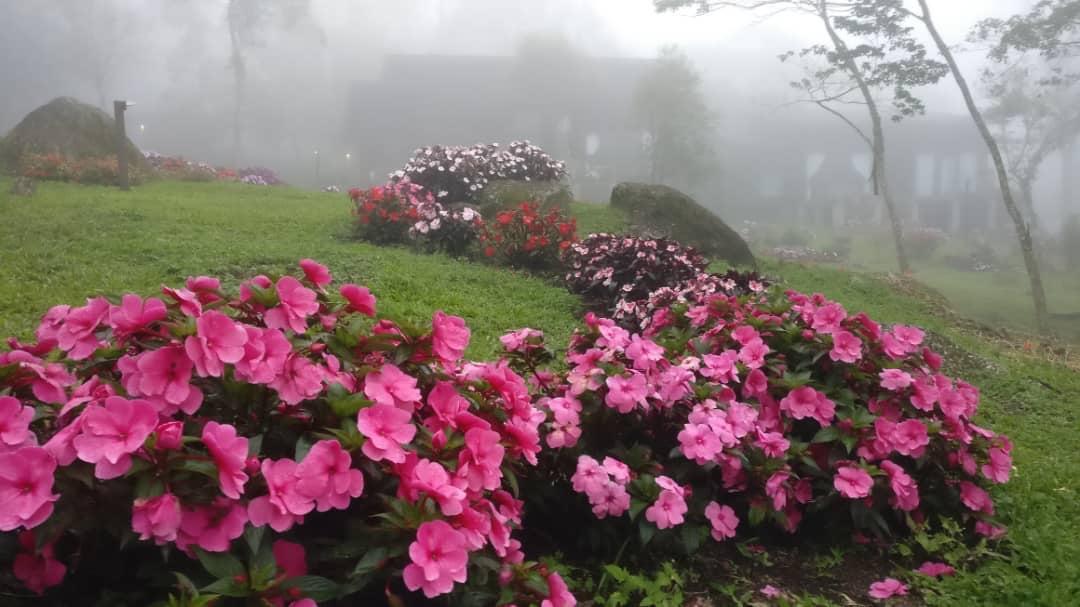 Spring Garden Hotel Kundasang Ngoại thất bức ảnh
